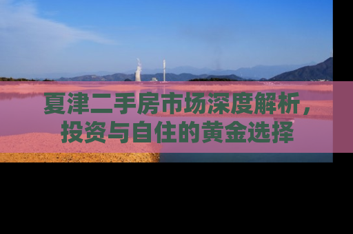 夏津二手房市场深度解析，投资与自住的黄金选择