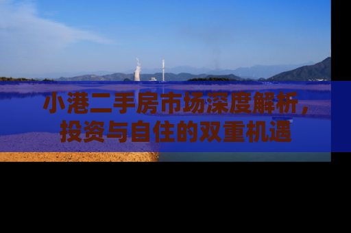小港二手房市场深度解析，投资与自住的双重机遇