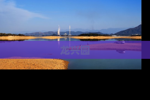 龙兴园
