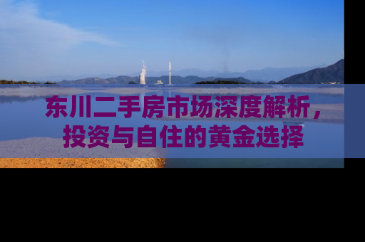 东川二手房市场深度解析，投资与自住的黄金选择