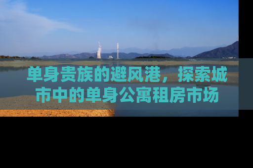 单身贵族的避风港，探索城市中的单身公寓租房市场