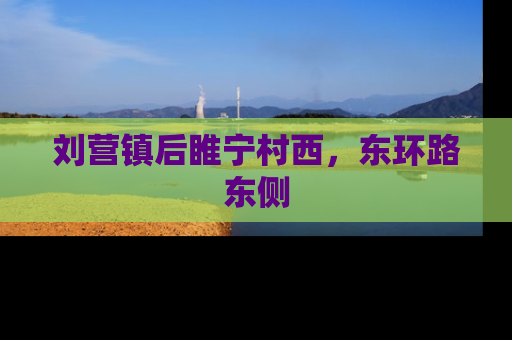 刘营镇后睢宁村西，东环路东侧