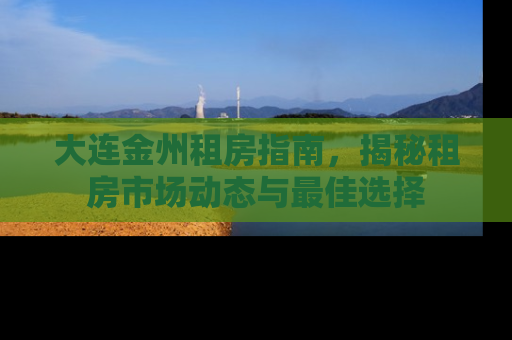 大连金州租房指南，揭秘租房市场动态与最佳选择