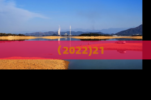 （2022)21