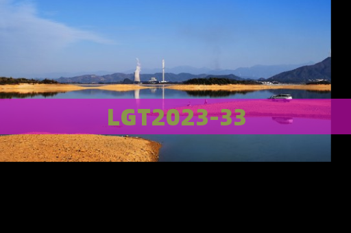 LGT2023-33