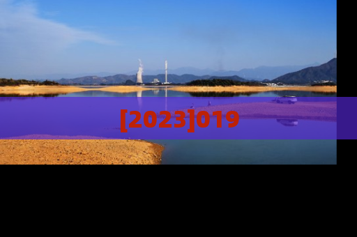 [2023]019