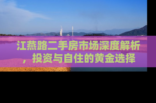 江燕路二手房市场深度解析，投资与自住的黄金选择