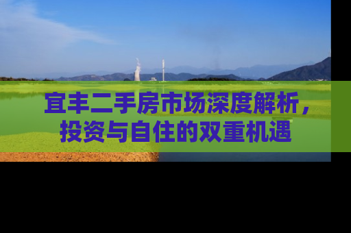 宜丰二手房市场深度解析，投资与自住的双重机遇