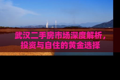 武汉二手房市场深度解析，投资与自住的黄金选择