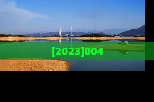 [2023]004
