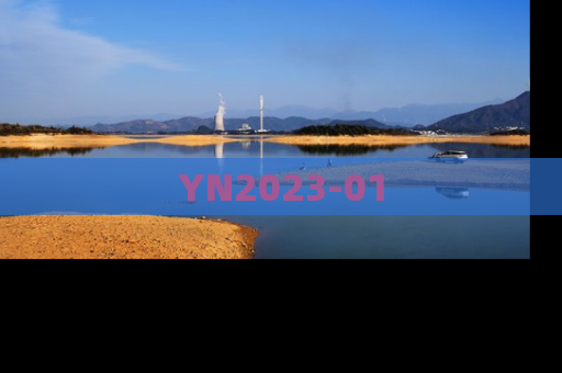 YN2023-01