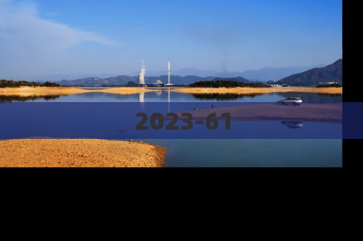 2023-61