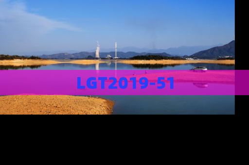 LGT2019-51