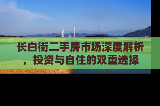 长白街二手房市场深度解析，投资与自住的双重选择