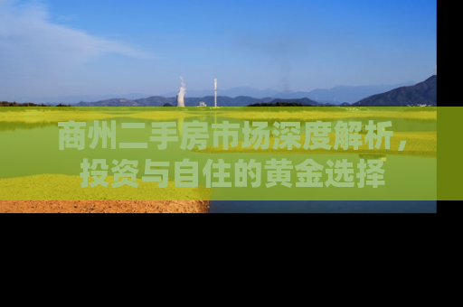商州二手房市场深度解析，投资与自住的黄金选择