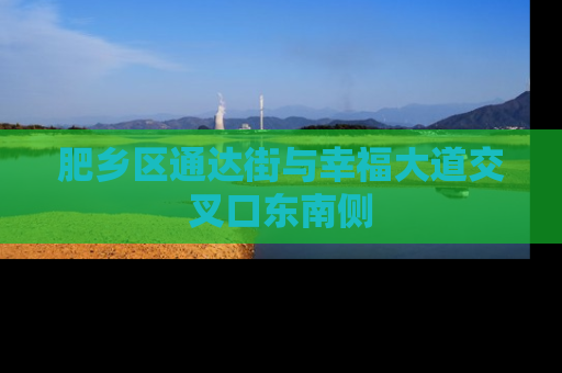 肥乡区通达街与幸福大道交叉口东南侧