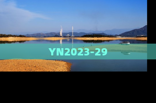 YN2023-29