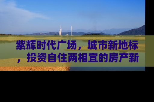 紫辉时代广场，城市新地标，投资自住两相宜的房产新选择
