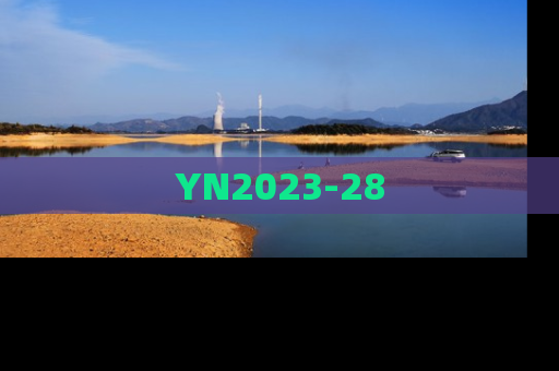 YN2023-28