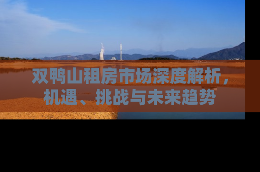 双鸭山租房市场深度解析，机遇、挑战与未来趋势