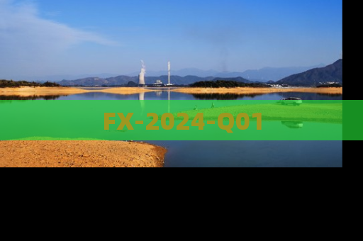 FX-2024-Q01