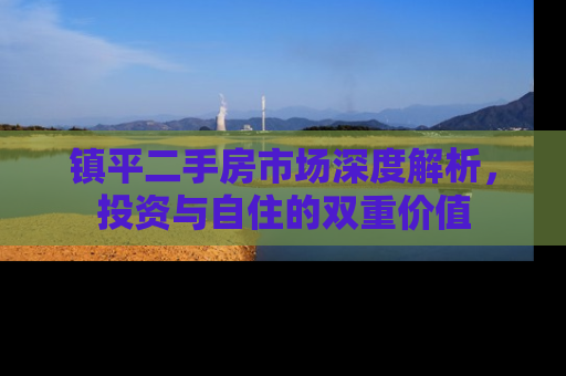 镇平二手房市场深度解析，投资与自住的双重价值