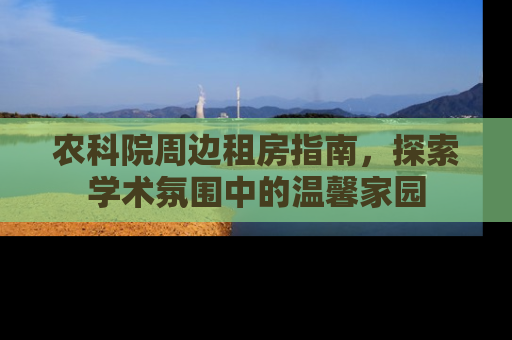 农科院周边租房指南，探索学术氛围中的温馨家园