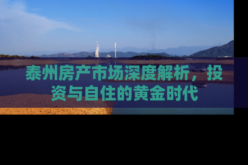 泰州房产市场深度解析，投资与自住的黄金时代