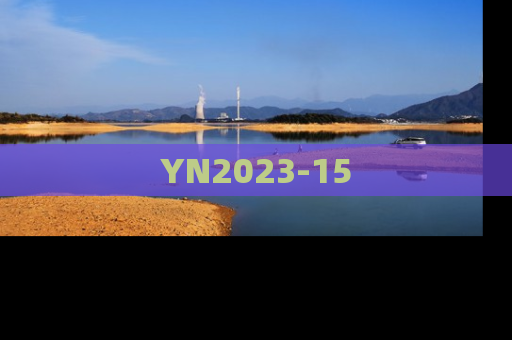 YN2023-15