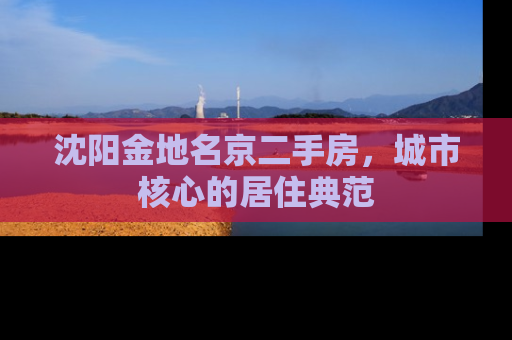 沈阳金地名京二手房，城市核心的居住典范