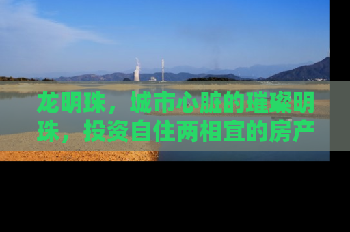 龙明珠，城市心脏的璀璨明珠，投资自住两相宜的房产新宠