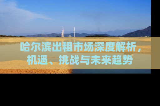 哈尔滨出租市场深度解析，机遇、挑战与未来趋势
