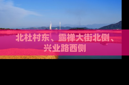 北杜村东、露禅大街北侧、兴业路西侧