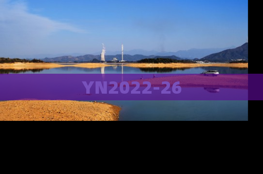 YN2022-26