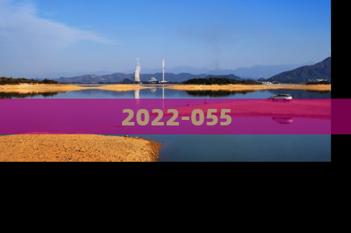 2022-055