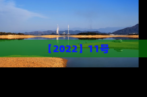 【2022】11号