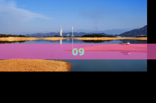 09