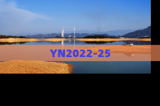 YN2022-25