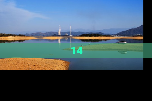 14