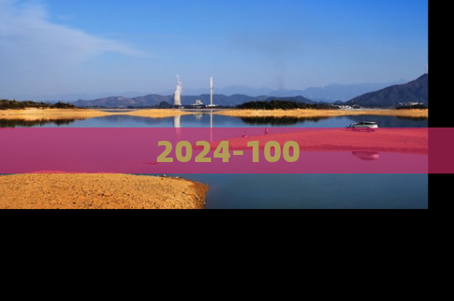 2024-100