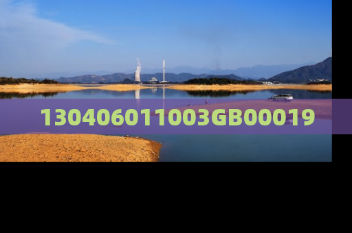 130406011003GB00019
