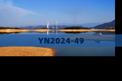 YN2024-49