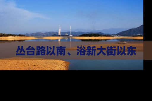 丛台路以南、浴新大街以东