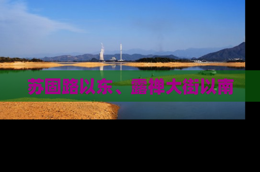 苏固路以东、露禅大街以南