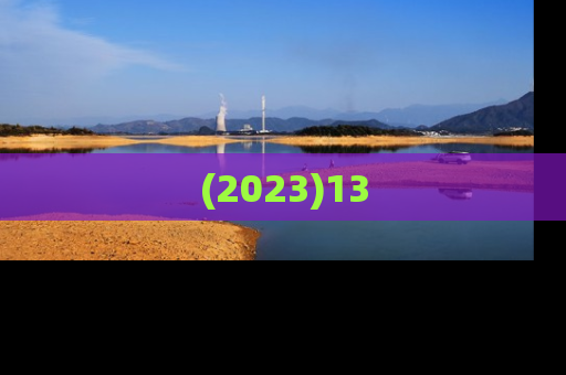 (2023)13