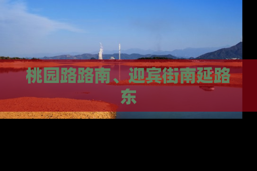 桃园路路南、迎宾街南延路东