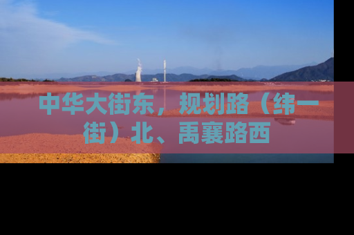 中华大街东，规划路（纬一街）北、禹襄路西