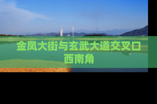 金凤大街与玄武大道交叉口西南角