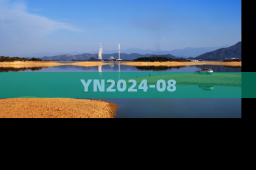 YN2024-08