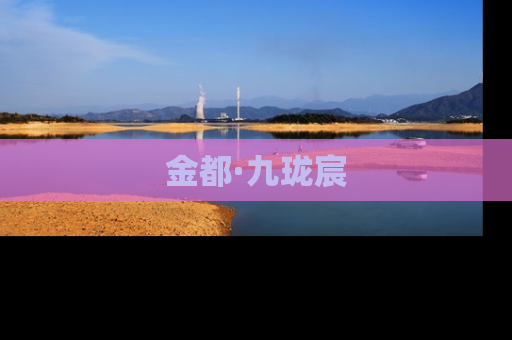 金都·九珑宸